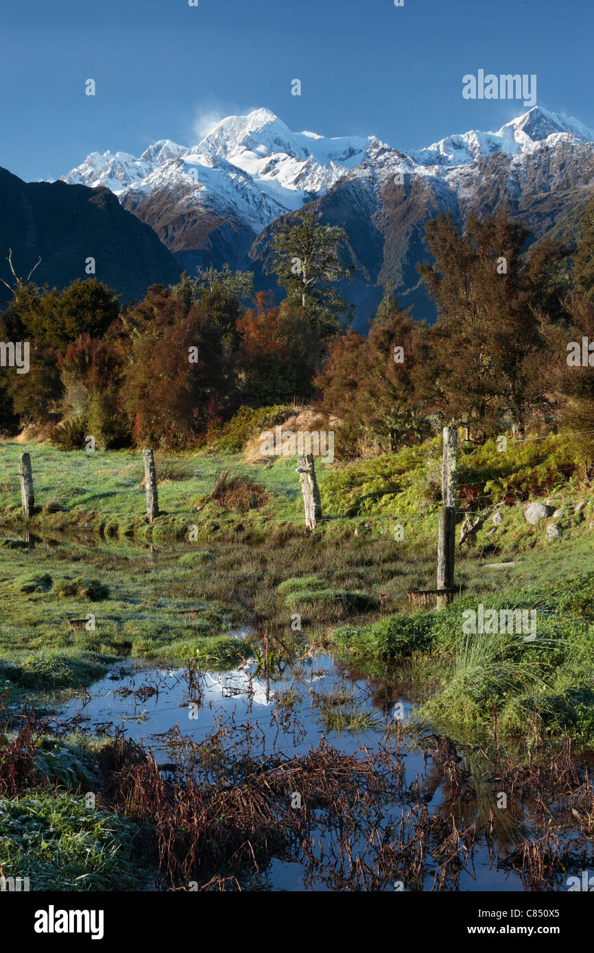 Vue sur le Mont Cook (Aoraki) et Mt Tasman vus de près de Lake Matheson en Nouvelle Zélande Banque D'Images