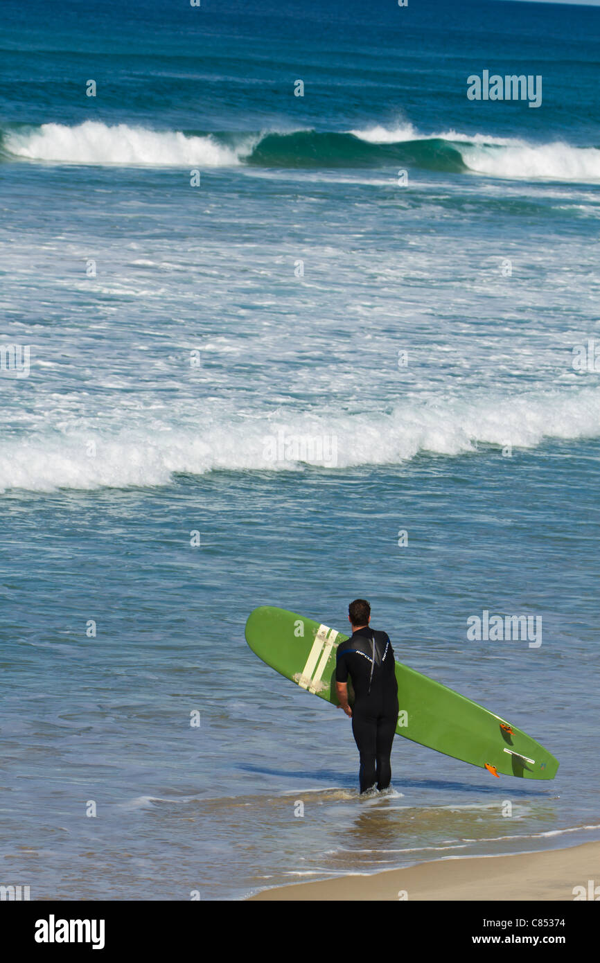 Planche de Surf Rider au bord de l'eau, sur la Gold Coast en Australie Banque D'Images