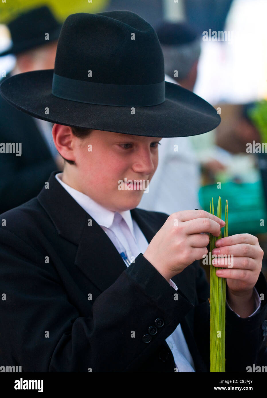 Un garçon juif ultra-orthodoxe inspecte un Loulav dans les "Quatre espèces' marché de Jérusalem Israël Banque D'Images