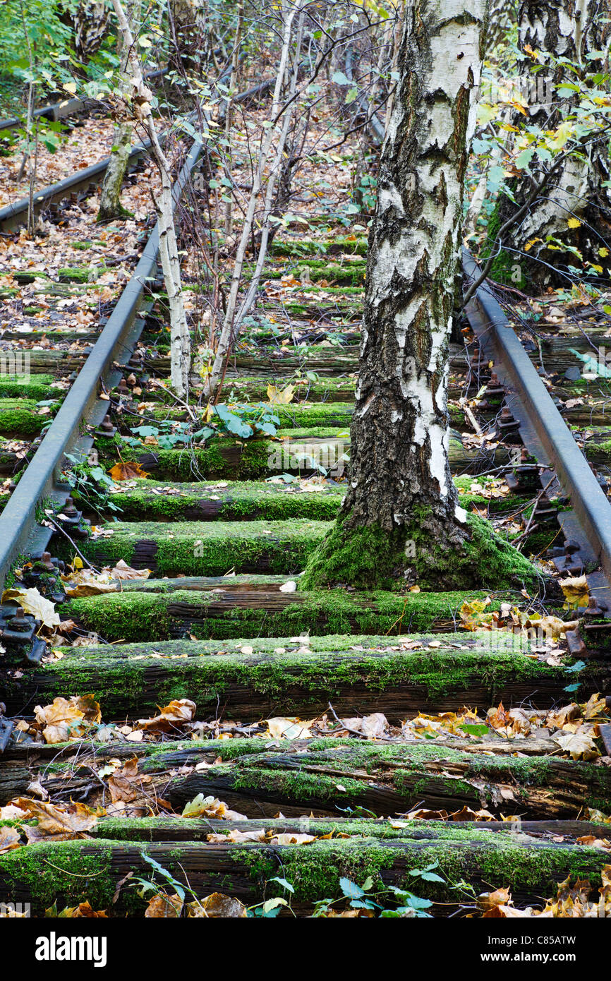 Parc Nature Südgelände - chemin de fer abandonné, Berlin, Allemagne Banque D'Images