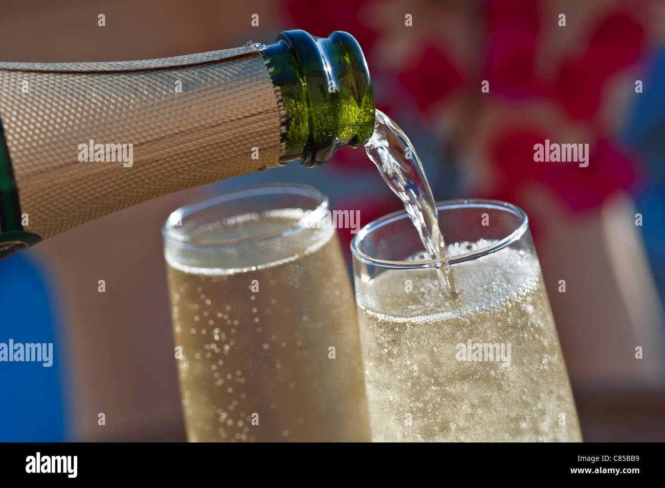Verser des verres de champagne frais sur la terrasse ensoleillée avec Fleurs colorées de Bougainvillea et style de vie piscine de vacances de luxe en arrière-plan Banque D'Images