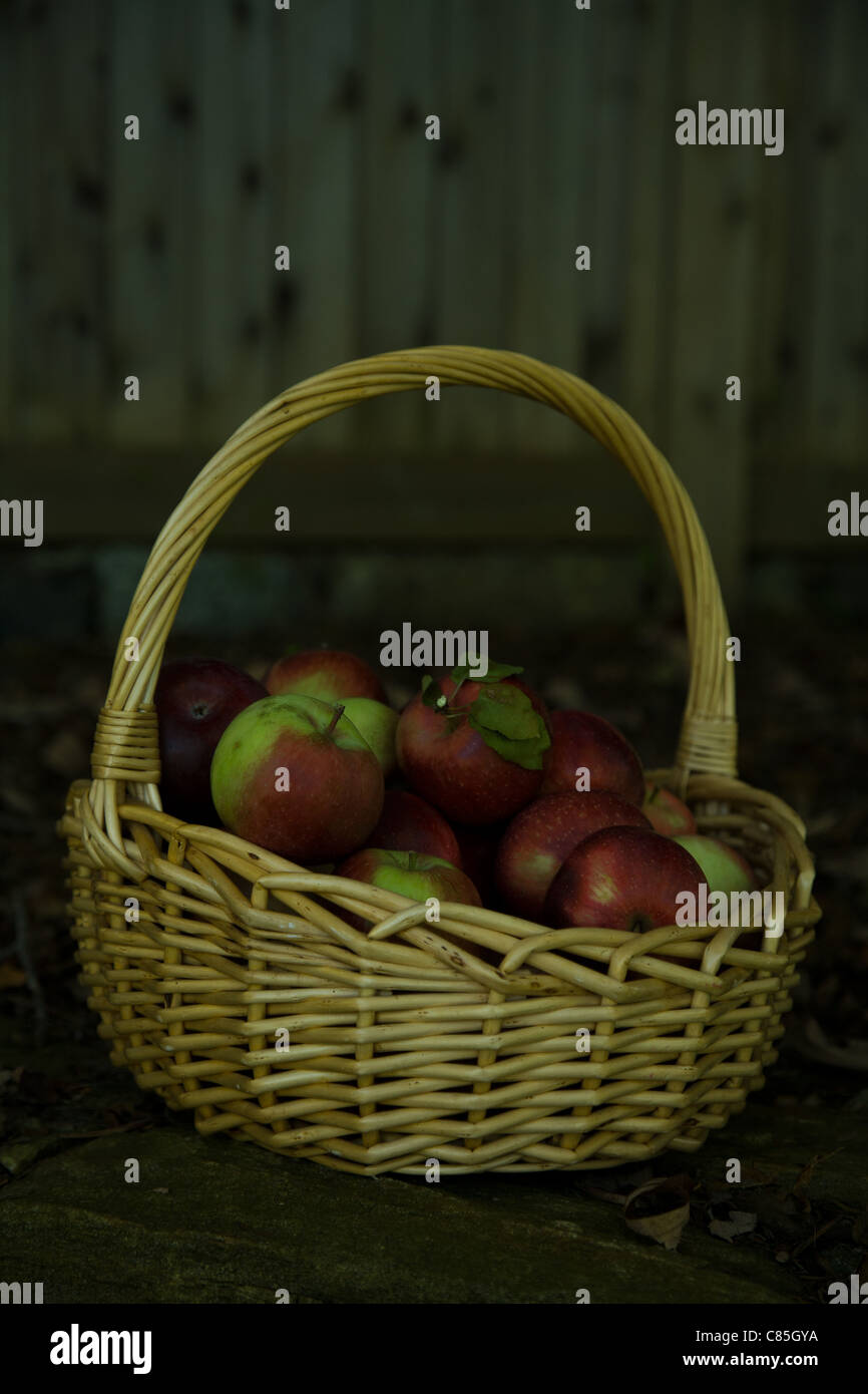 Panier de pommes assis sur le mur de pierre, clôture de bois en arrière-plan, sombre et mystérieux, de l'image automne automne libre Banque D'Images