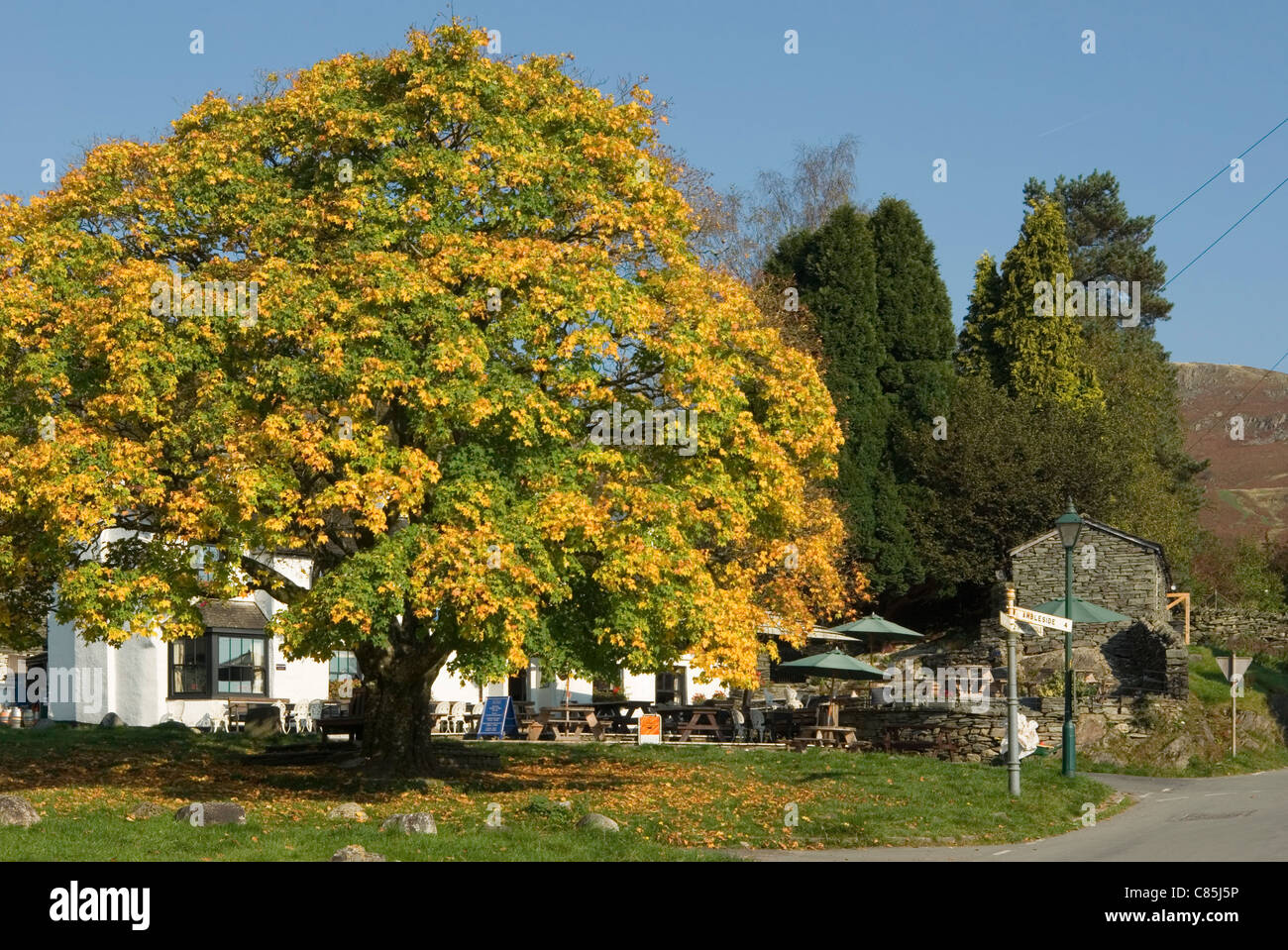 Coin d'arbres d'érable et le Britannia Inn, Lake Road Banque D'Images