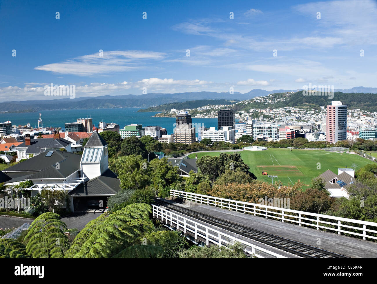Vue panoramique de la ville de Wellington des jardins botaniques de l'Île du Nord Nouvelle-Zélande NZ Banque D'Images