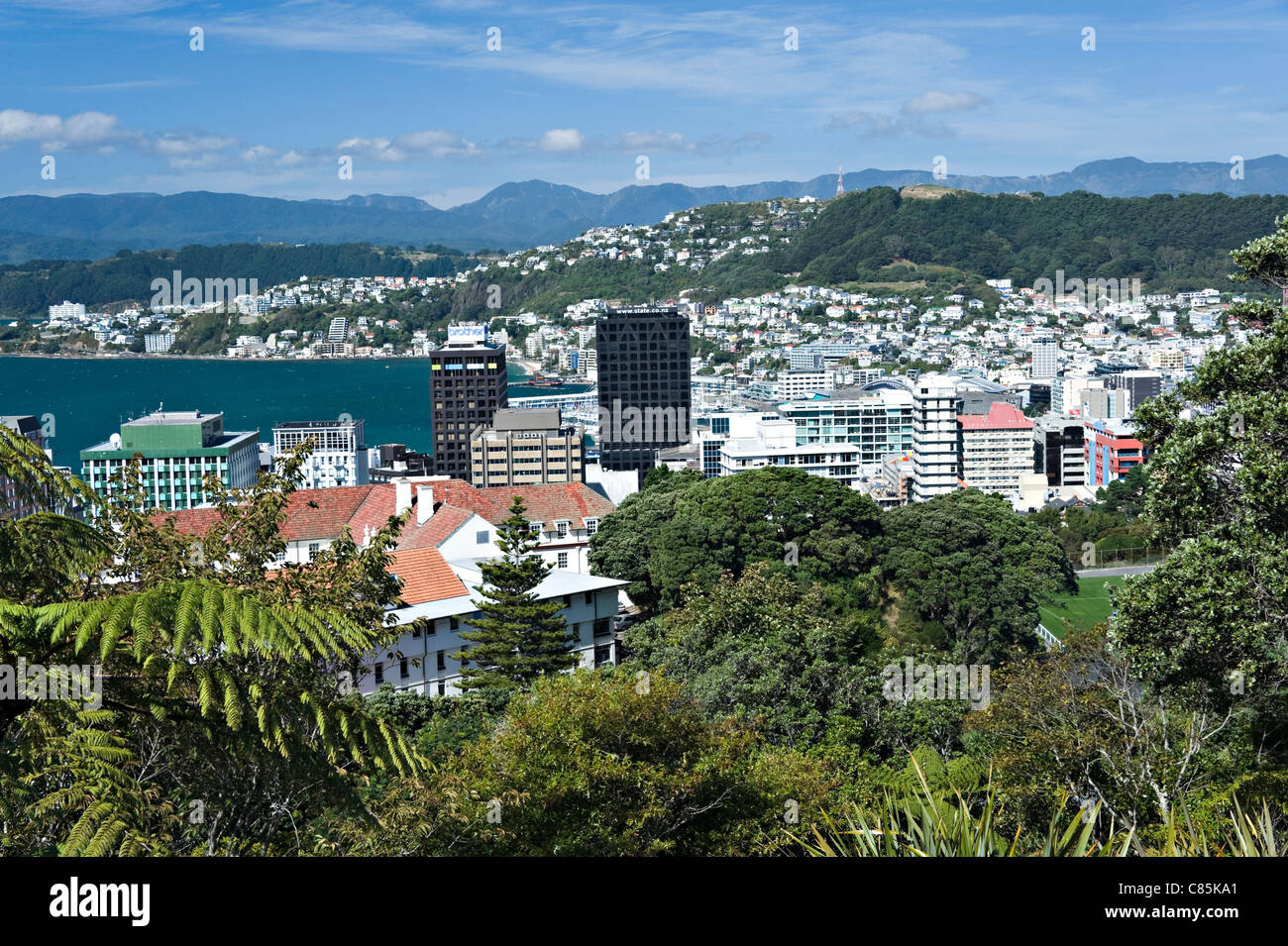 Vue panoramique de la ville de Wellington des jardins botaniques de l'Île du Nord Nouvelle-Zélande NZ Banque D'Images