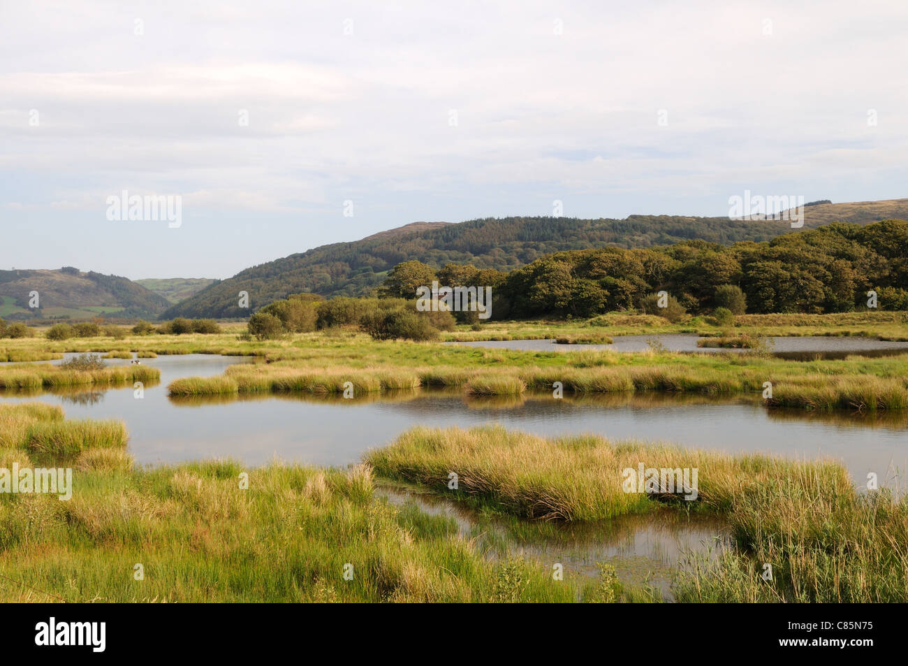 Ynys hir la Réserve Naturelle RSPB Fourneau Vallée Dyfi Ceredigion Pays de Galles Cymru UK GO Banque D'Images