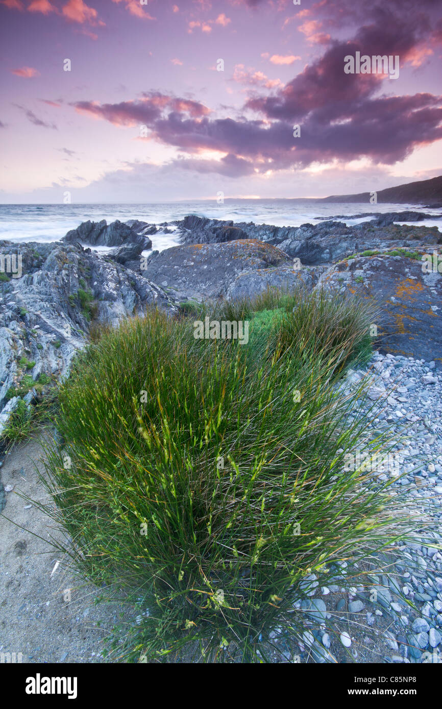 Cornwall Whitsand Bay UK Banque D'Images