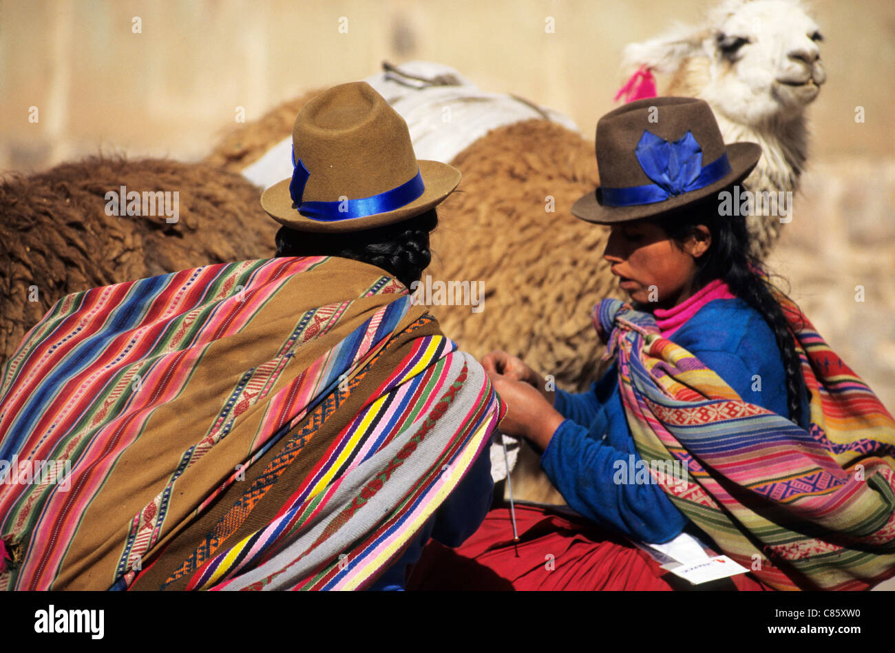 Cusco, Pérou. Deux femmes en costume traditionnel aux couleurs vives et des  chapeaux de feutre avec des lamas Photo Stock - Alamy