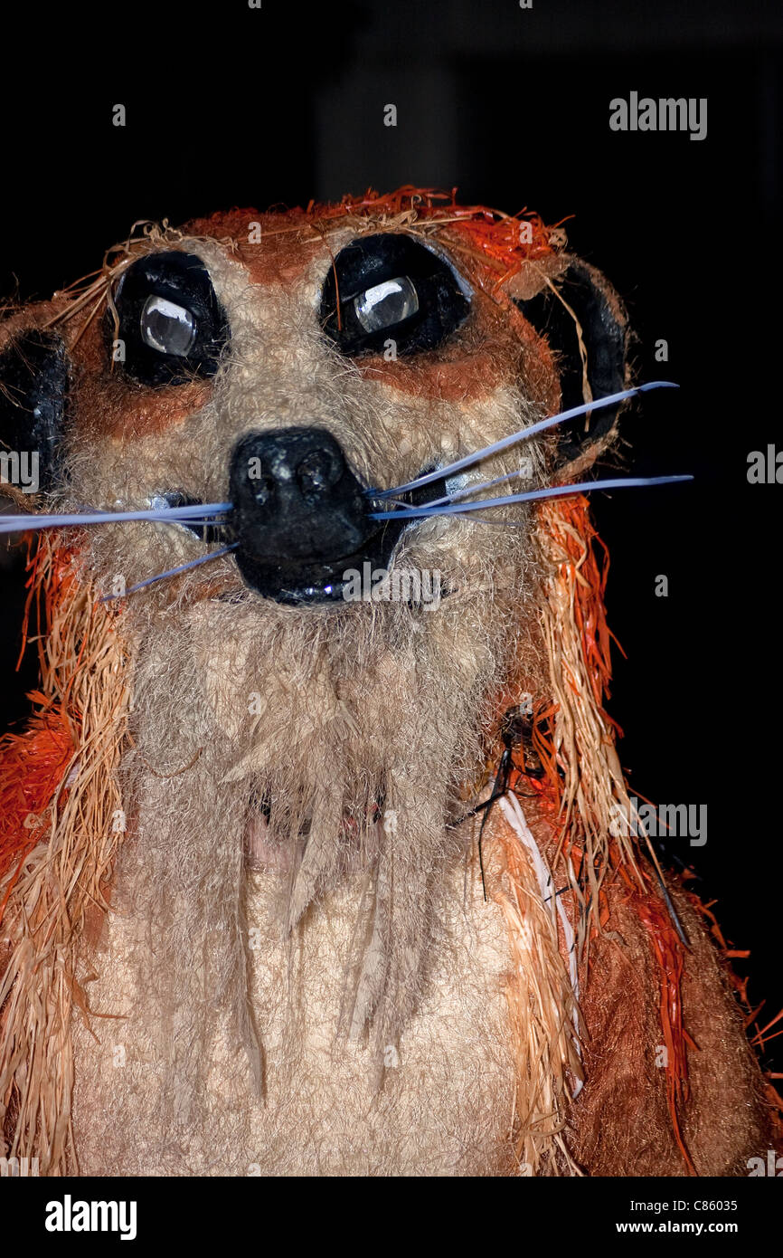 Meerkat laughing smiling effigie costume drama Banque D'Images