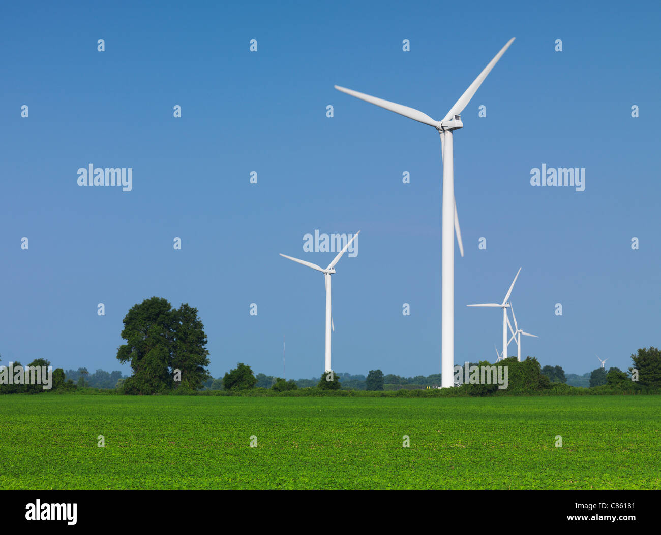 Éoliennes dans un champ vert. Le sud de l'Ontario, Canada. Banque D'Images