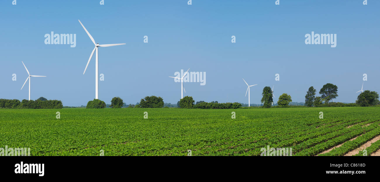 Éoliennes dans un champ vert. Le sud de l'Ontario, Canada. Banque D'Images