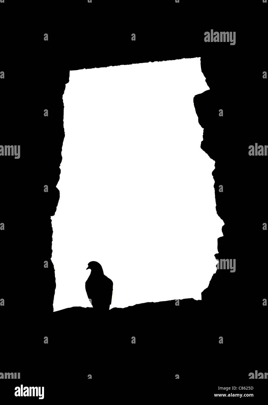 Silhouette d'un oiseau dans une fenêtre du château Banque D'Images