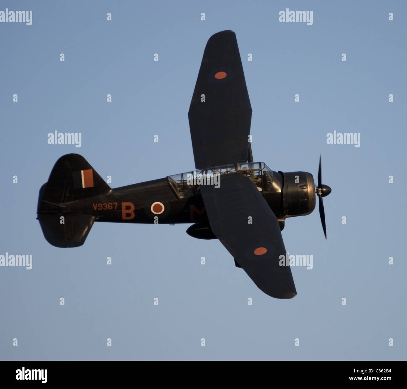 Westland Lysander en vol Banque D'Images