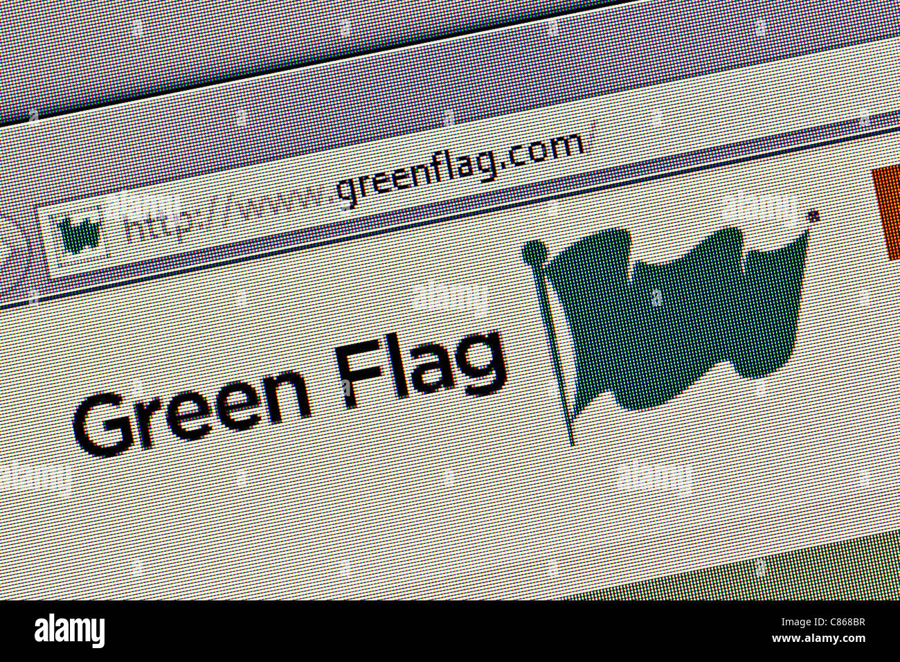 Logo drapeau vert et le site web close up Banque D'Images