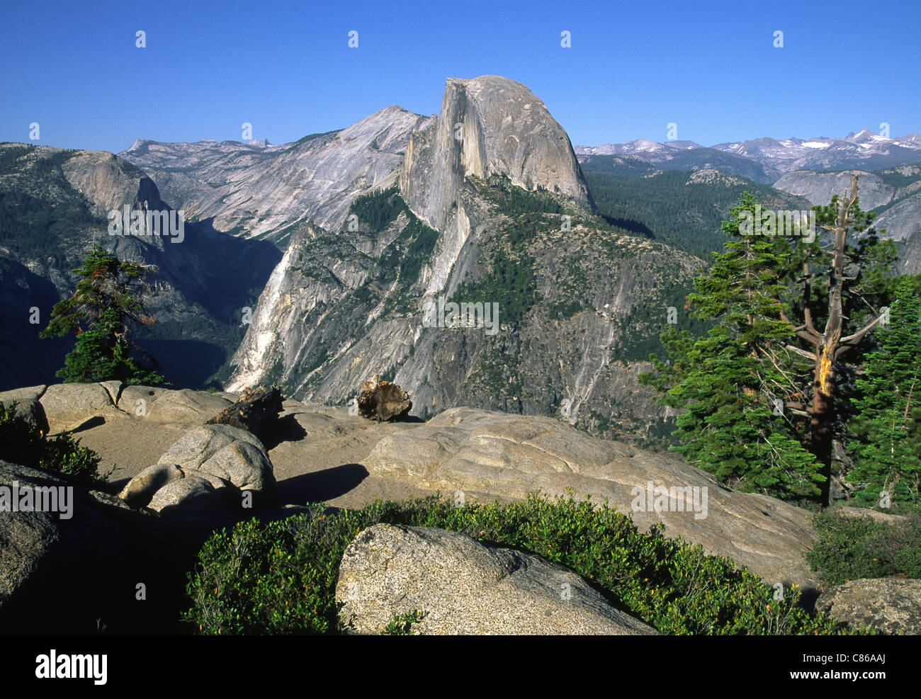 Half Dome, Yosemite National Park Banque D'Images