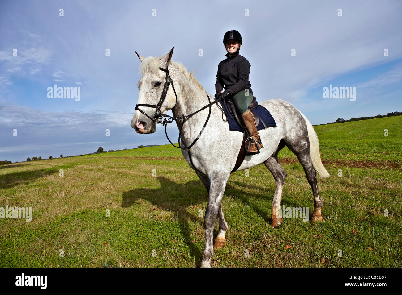 Femme cheval. Un cheval gris à la traction irlandaise et une femelle dans un cadre de campagne anglaise. ROYAUME-UNI Banque D'Images
