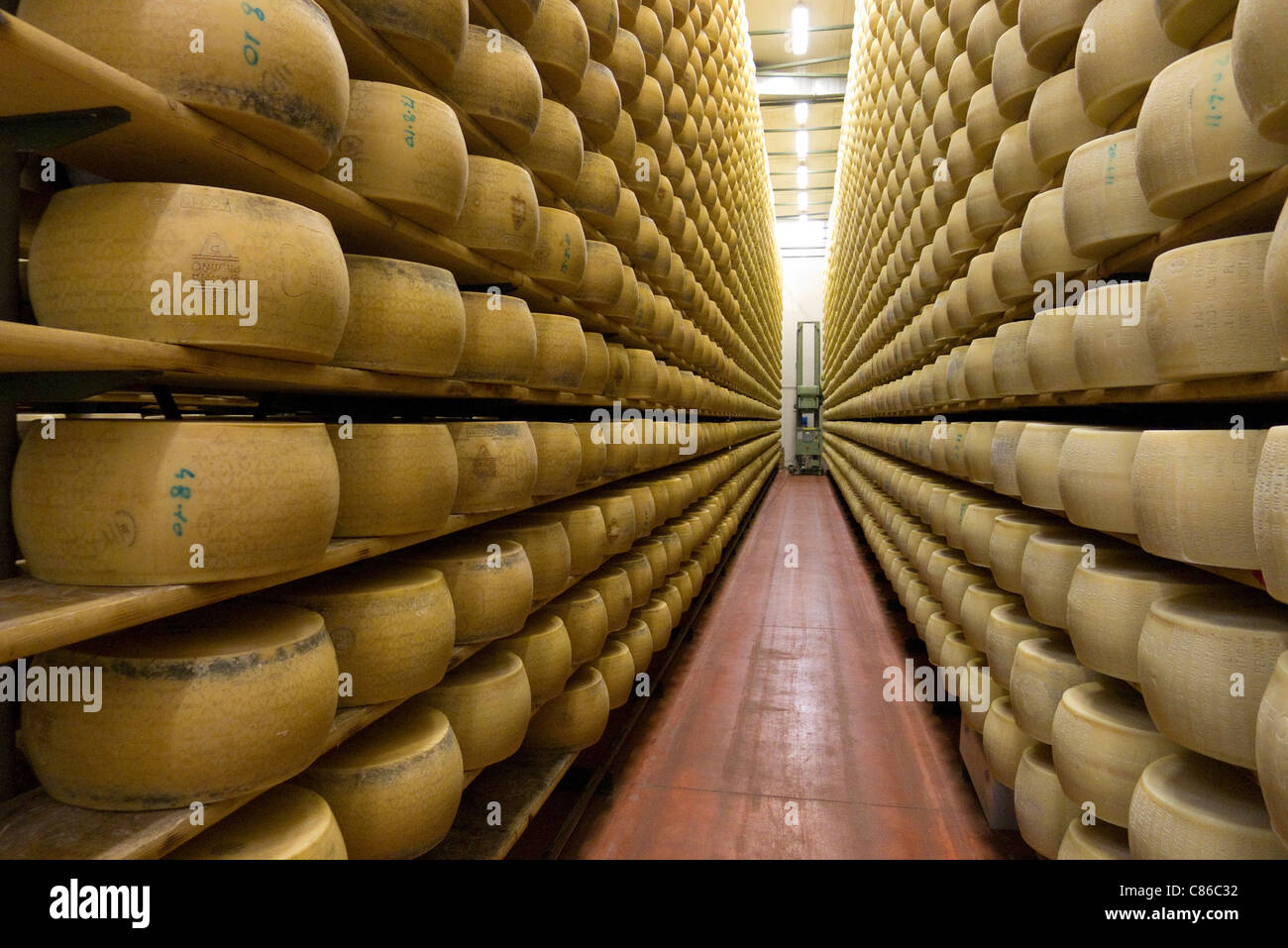 Maturation des fromages dans les entrepôts frigorifiques à Asiago laitiers Pennar, Veneto, Italie Banque D'Images