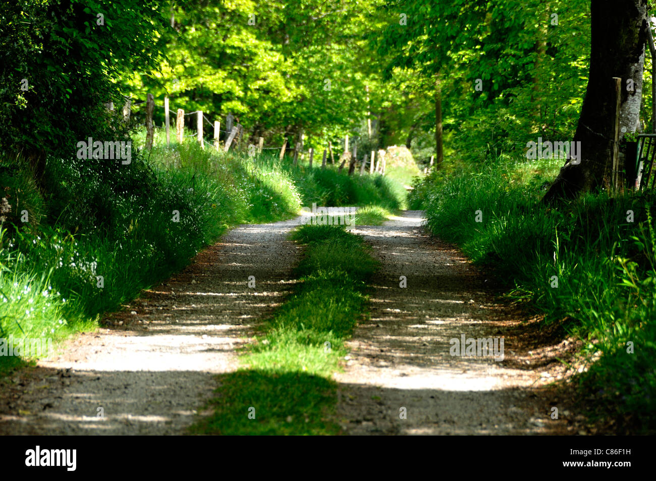 Circuit de randonnée du Moulin Foulon, près de la Fosse Arthour (Manche, Basse-Normandie, France). Banque D'Images