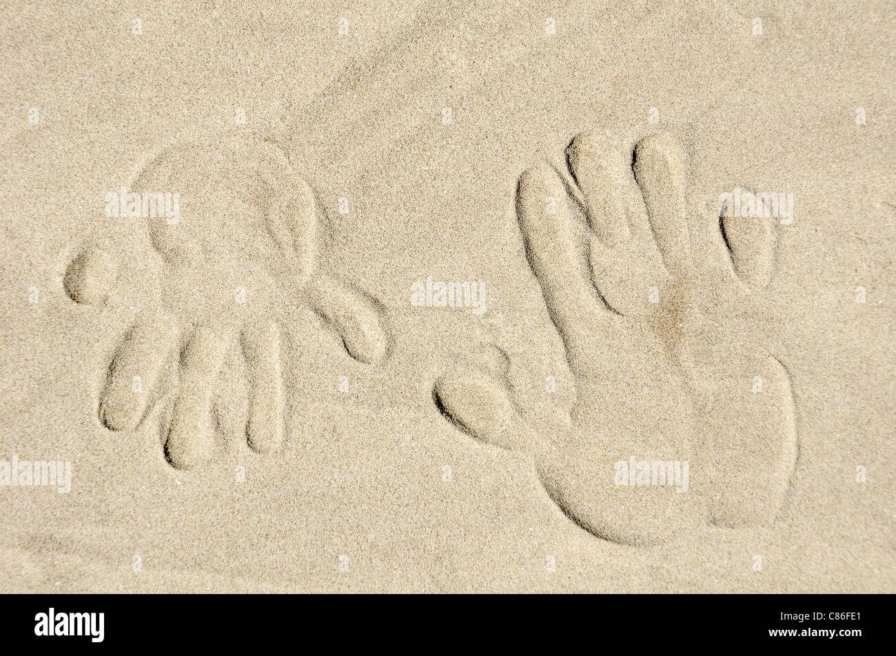 Fond de sable avec de grands et petits palm imprimer Banque D'Images
