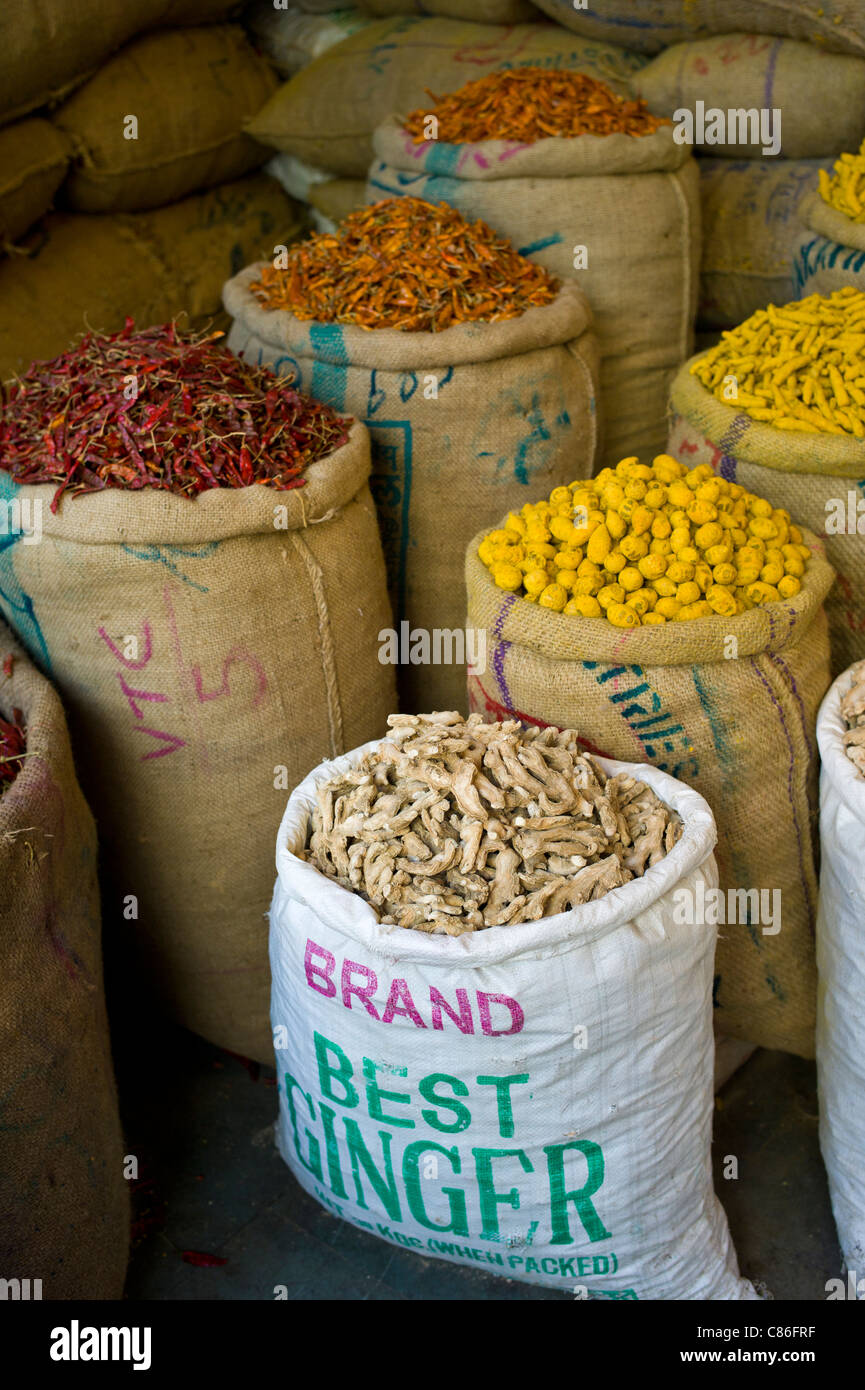 Piments rouges, le curcuma et le gingembre en vente à Khari Baoli spice aliments séchés et marché, Old Delhi, Inde Banque D'Images