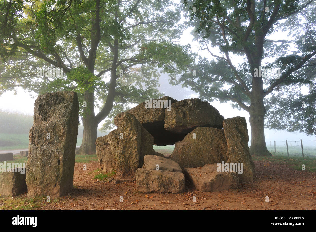 Le Grand Dolmen mégalithique de Wéris et Menhir dans la brume, Ardennes, Luxembourg, Belgique Banque D'Images