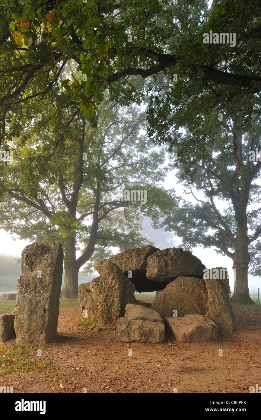 Le Grand Dolmen mégalithique de Wéris et Menhir dans la brume, Ardennes, Luxembourg, Belgique Banque D'Images