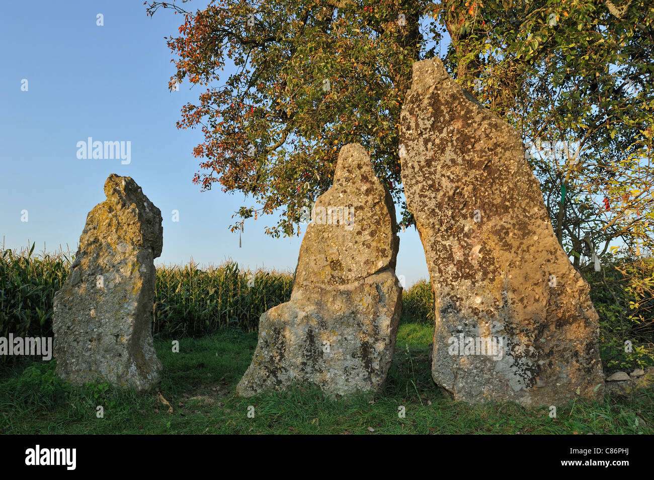 Trois pierres mégalithiques / menhirs d'Oppagne près de Wéris, Ardennes Belges, Luxembourg, Belgique Banque D'Images