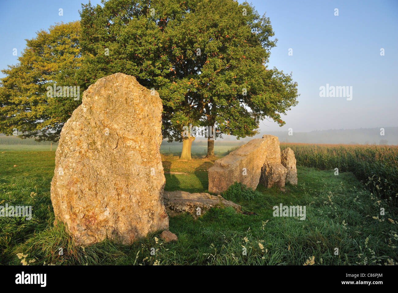 Pierres mégalithiques au Dolmen d'Oppagne / Dolmen de Wéris II, Ardennes, Luxembourg, Belgique Banque D'Images
