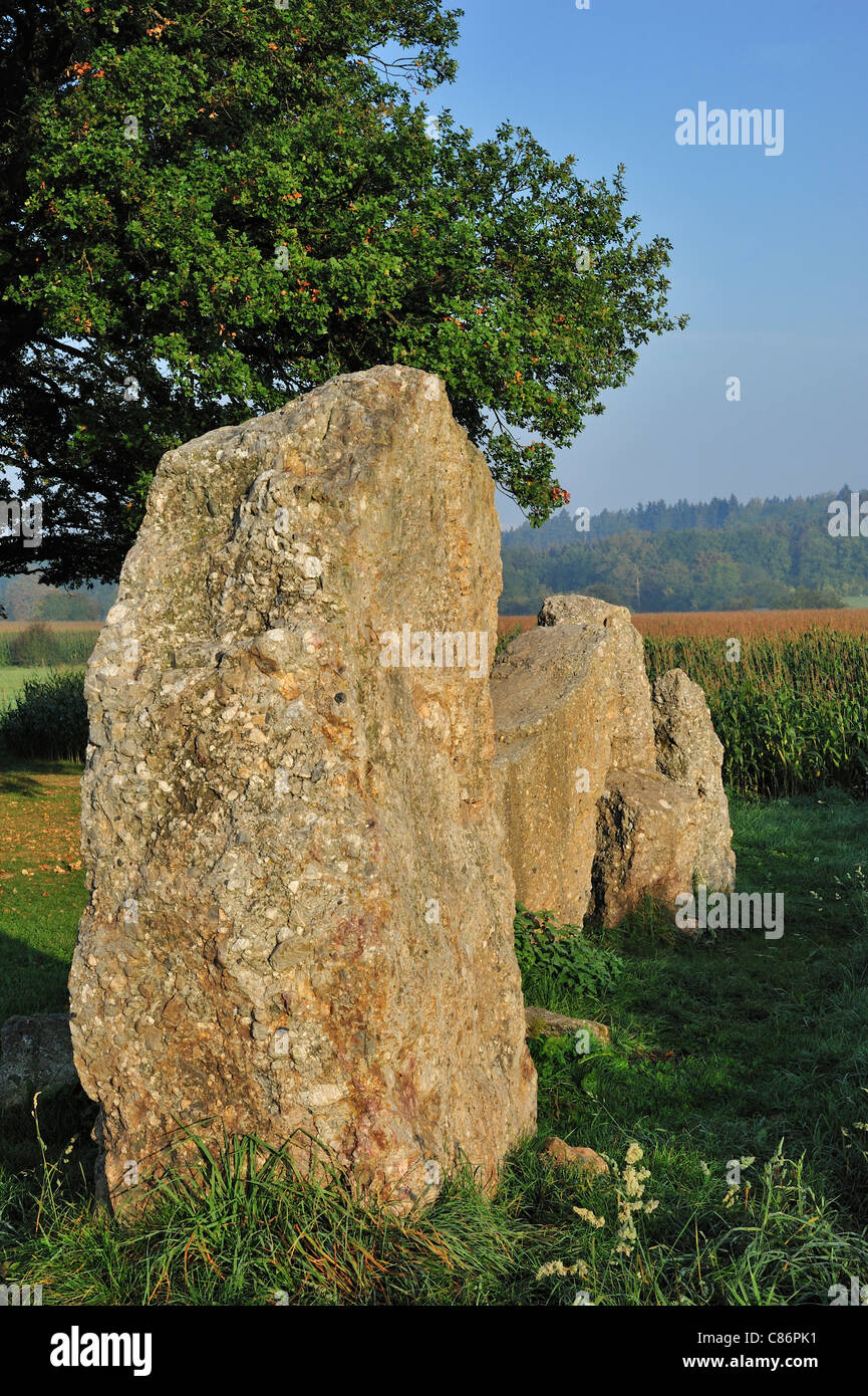 Pierres mégalithiques au Dolmen d'Oppagne / Dolmen de Wéris II, Ardennes, Luxembourg, Belgique Banque D'Images