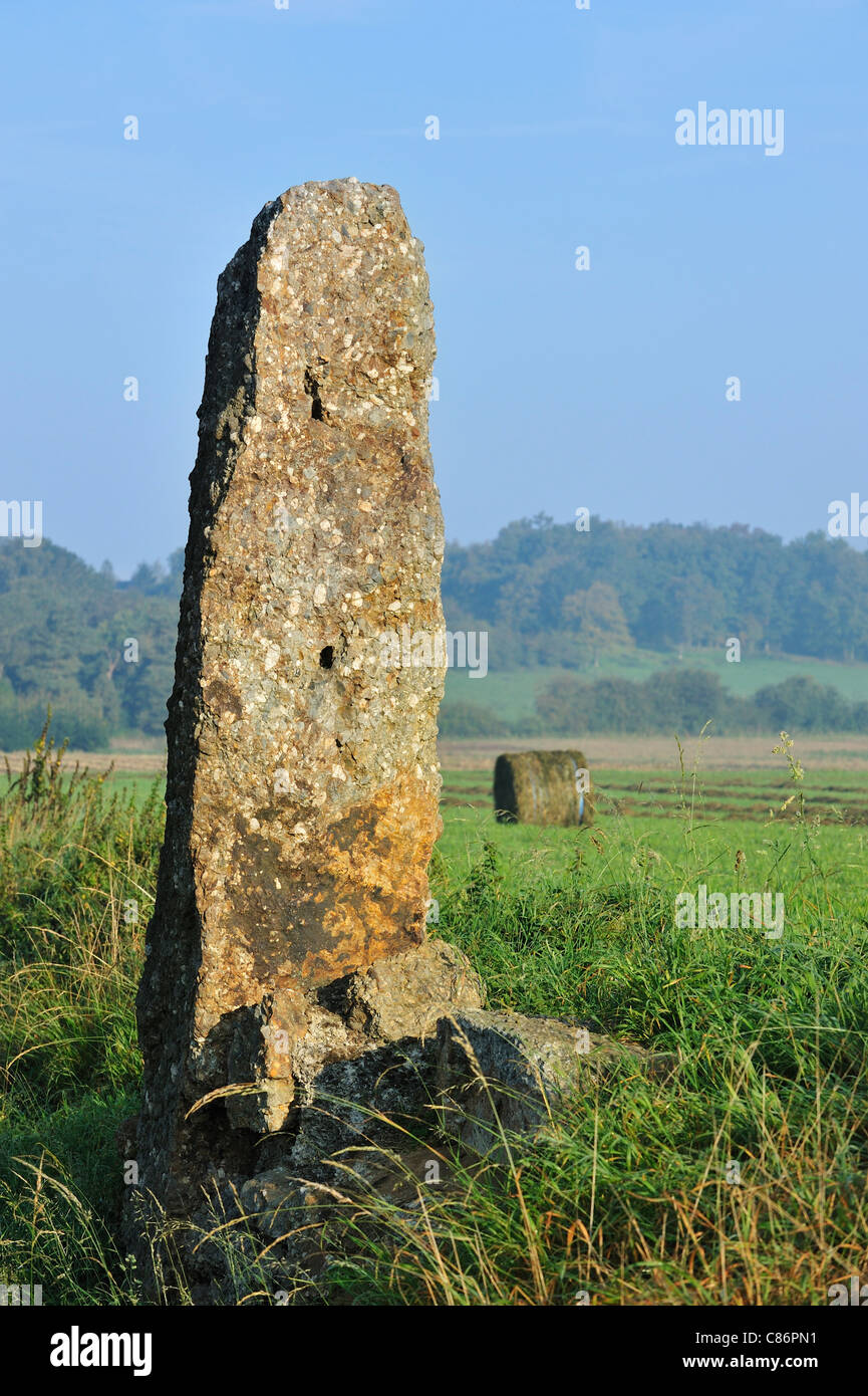 Menhir mégalithique / pierre Danthin près de Wéris, Ardennes, Luxembourg, Belgique Banque D'Images