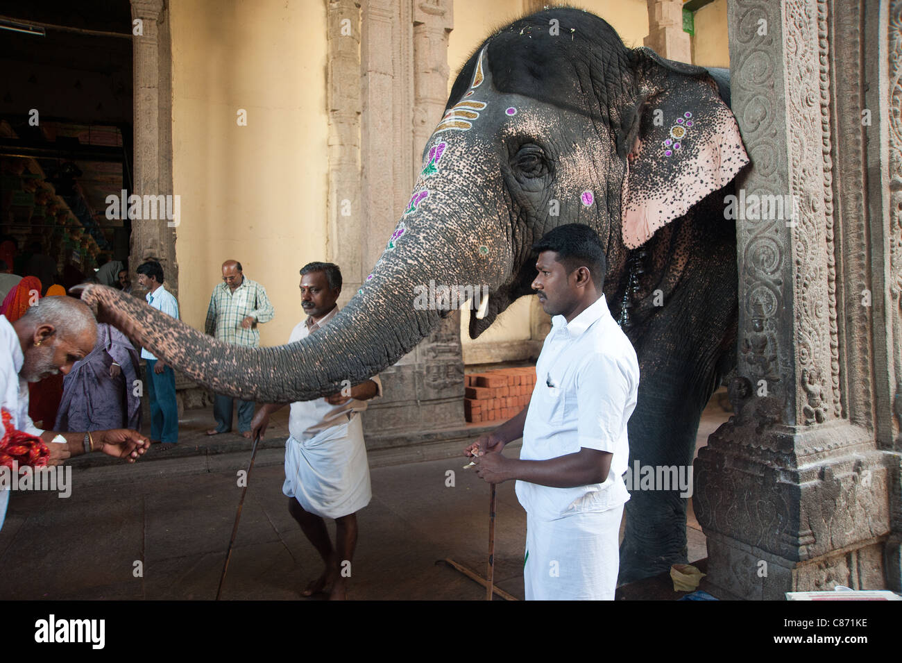 Une bénédiction par un éléphant à la Sri Meenakshi Temple Banque D'Images