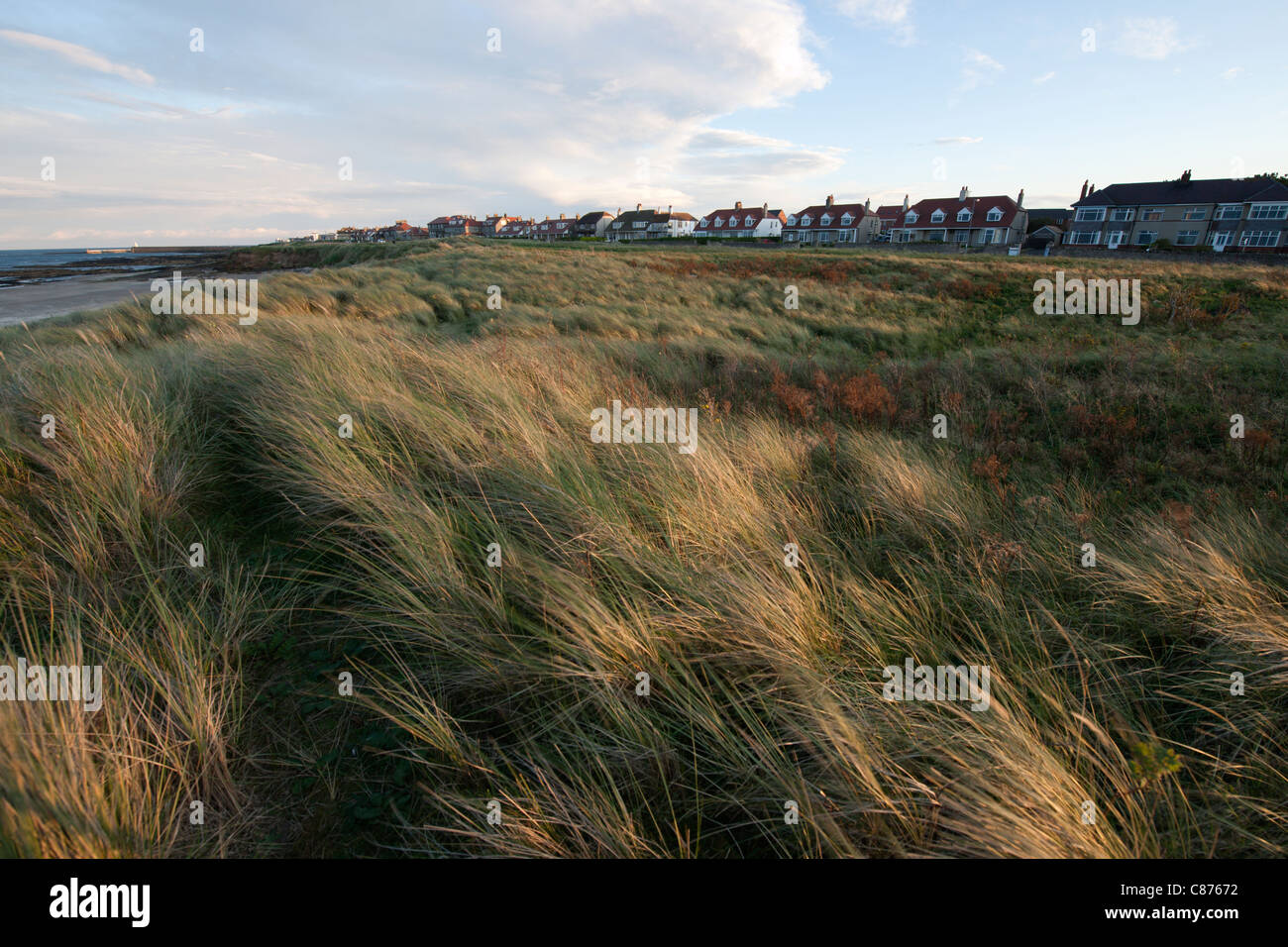 St Aidans Dunes et St Aidans dans Northumberland au nord-est de l'Angleterre Banque D'Images