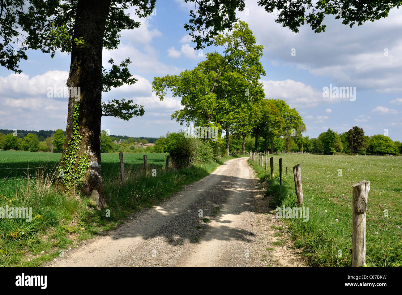Circuit de randonnée du Moulin Foulon (Fosse Arthour, Manche, Normandie, France). Banque D'Images