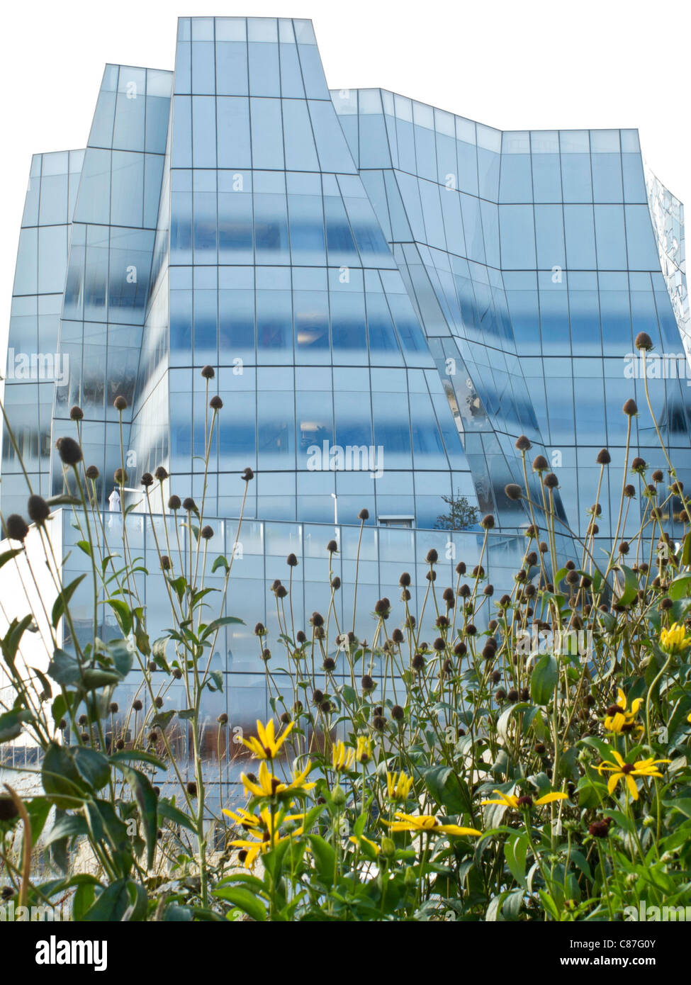 Bâtiment de Frank Gehry, le parc High Line, NYC Banque D'Images