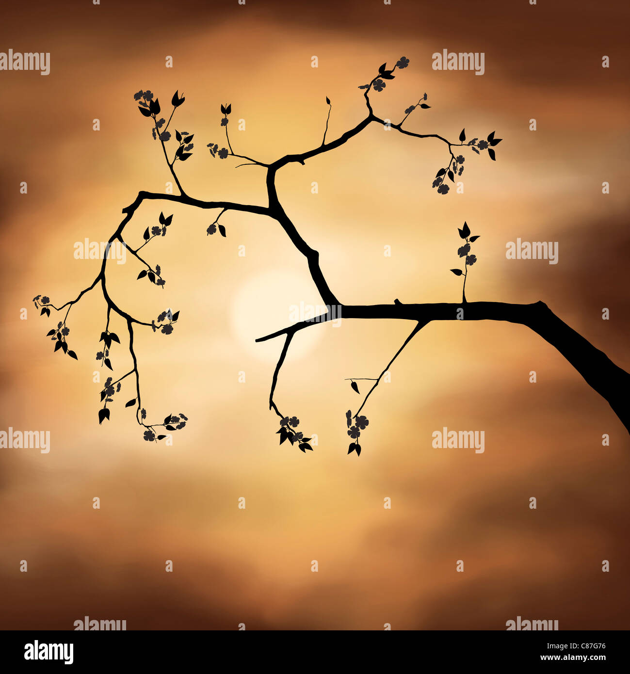 Illustration d'une branche d'arbre silhouette. Fleur de cerisier Sakura plus orageux spectaculaire coucher de soleil et le ciel Banque D'Images