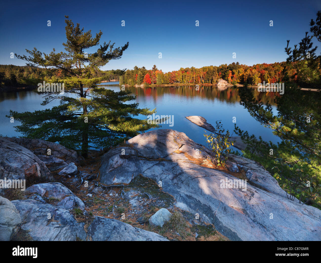 Beaux paysages d'automne nature du lac George, au coucher du soleil. Le Parc provincial Killarney, Ontario, Canada Banque D'Images