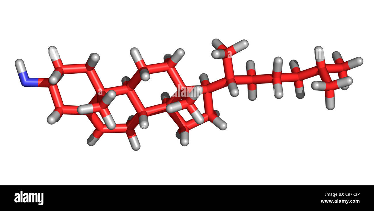 Molécule de cholestérol Banque D'Images