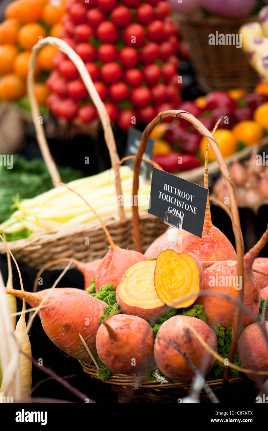 Betterave, Beta vulgaris 'Gold' Touchstone à 2011 RHS Flower Show Tatton Park Banque D'Images