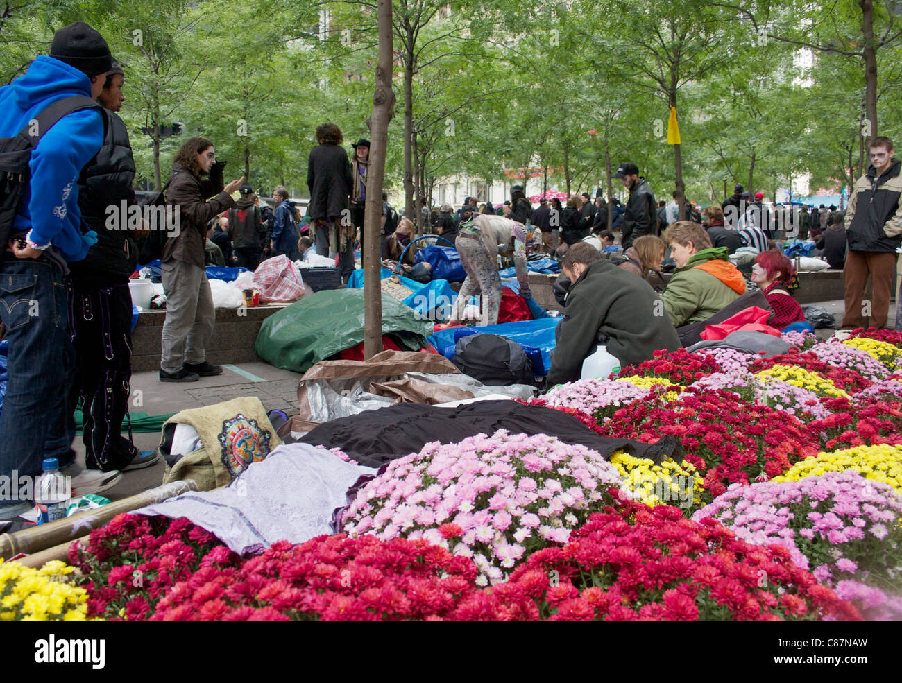 'Occupy Wall Street' des manifestants à Zoccotti Park, New York City. Octobre 2011. Banque D'Images 'Occupy Wall Street' des manifestants à Zoccotti Park, New York City. Octobre 2011. Banque D'Images