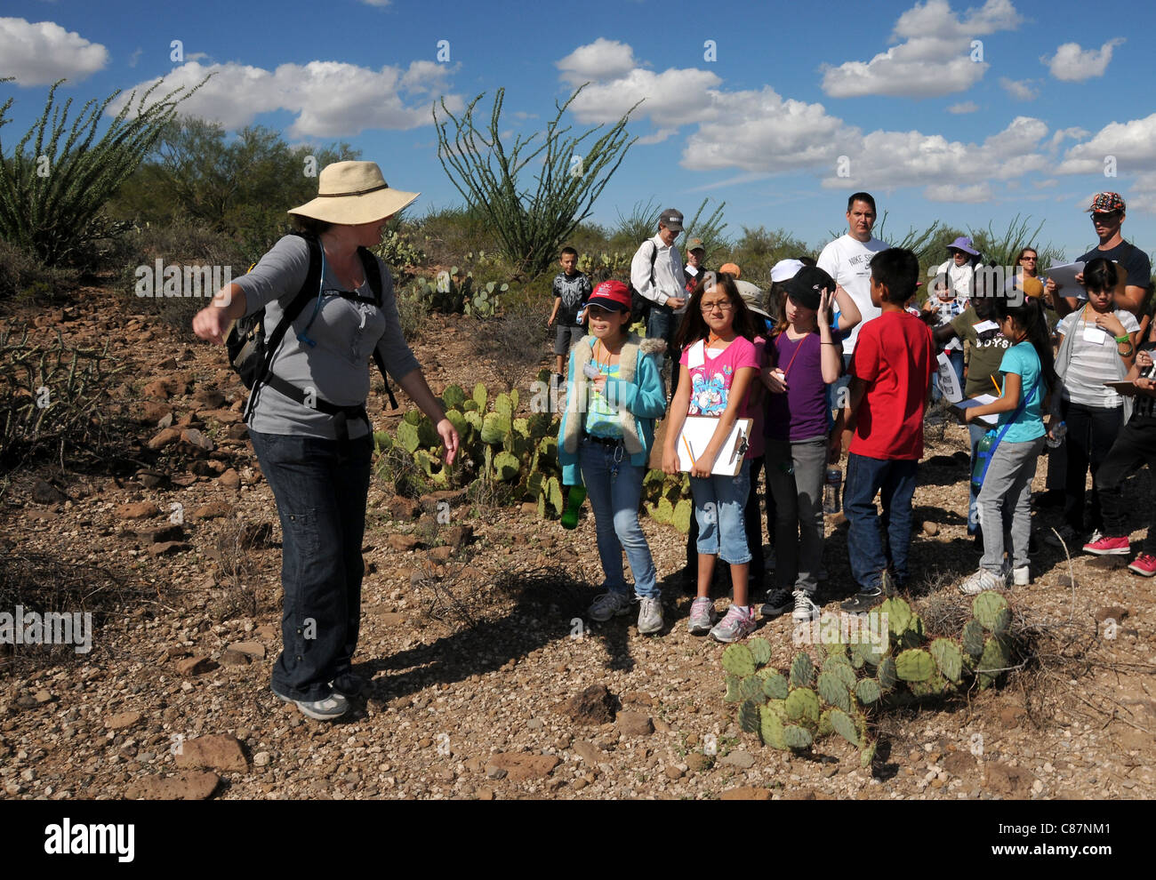 Étude de l'école élémentaire le désert de Sonora à Tucson, Arizona, USA. Banque D'Images