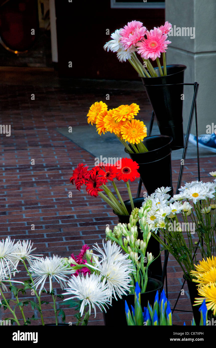 Marché aux fleurs en plein air de San Diego Banque D'Images