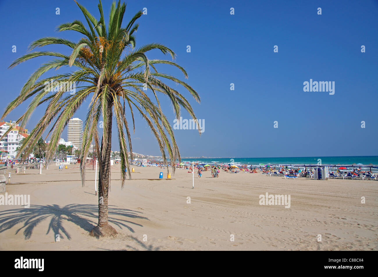 Peníscola, Costa del Azahar, Province de Castellón, Communauté Valencienne, Espagne Banque D'Images