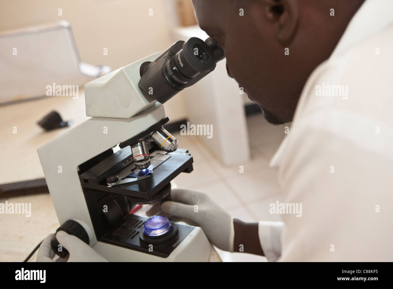 Vue d'un technicien de laboratoire d'un échantillon de tissu dans un laboratoire en Zambie, Luanshya. Banque D'Images