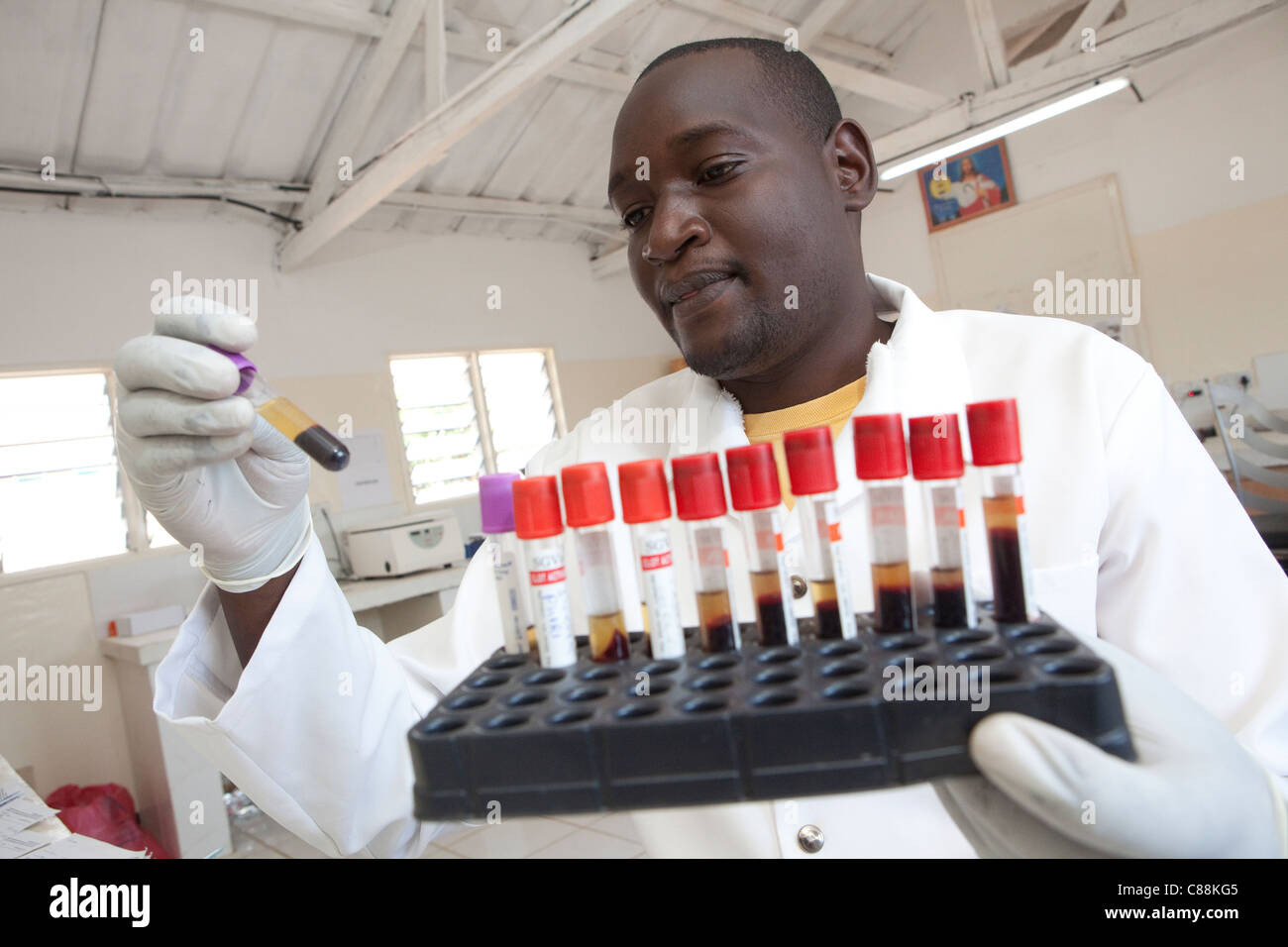 Un des techniciens de laboratoire des échantillons de sang d'essai des patients atteints du VIH dans un hôpital de Luanshya, Zambie. Banque D'Images