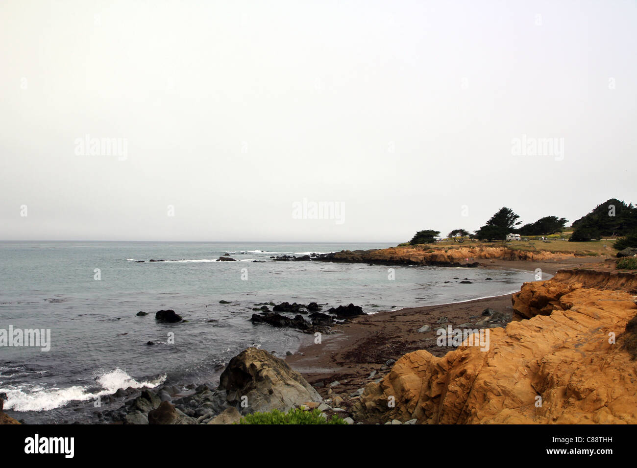 Près de Moonstone Beach, Cambria, Californie, USA Banque D'Images