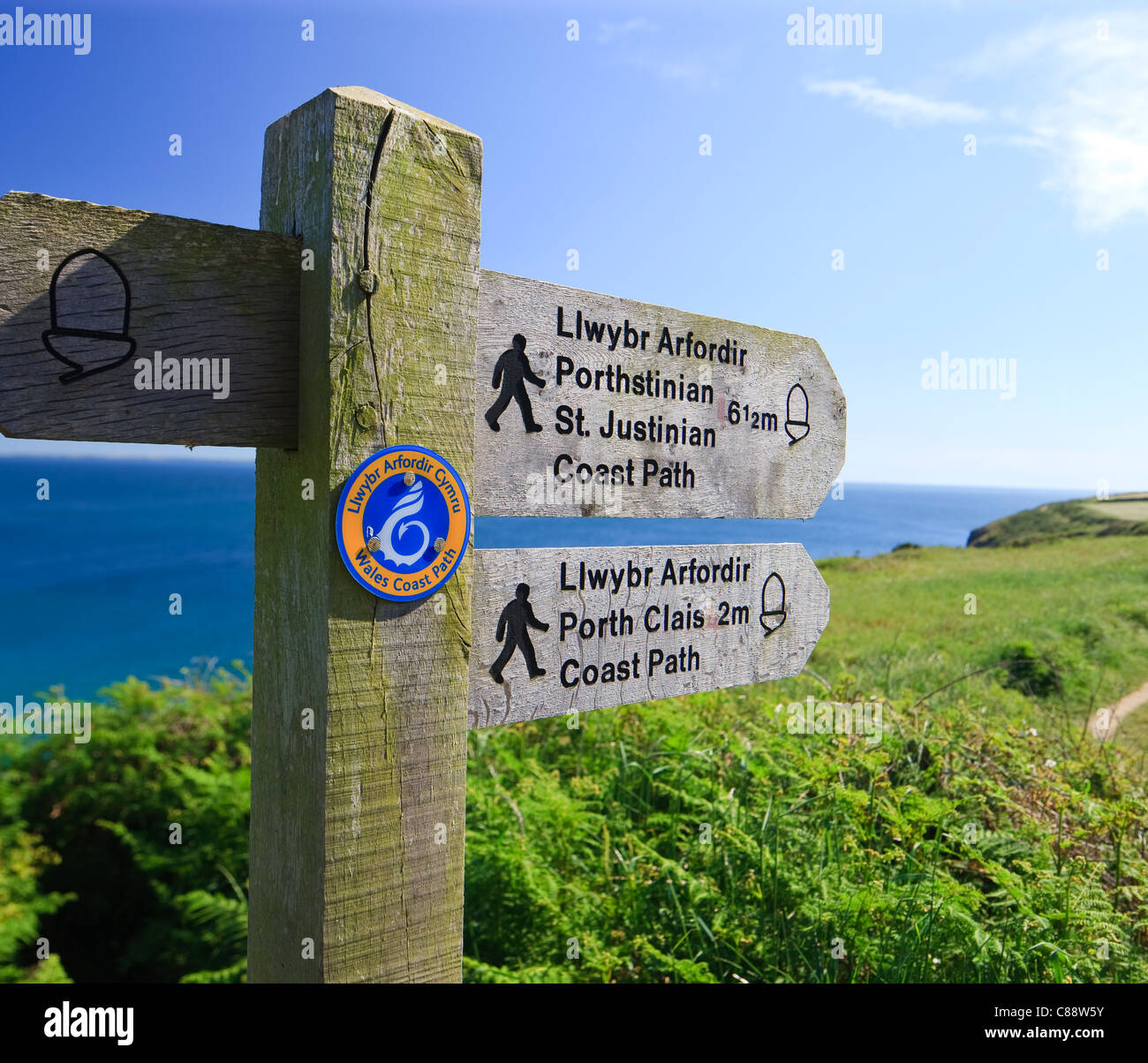 Coast Path Caerfai Bay St Davids, Pembrokeshire Wales Banque D'Images