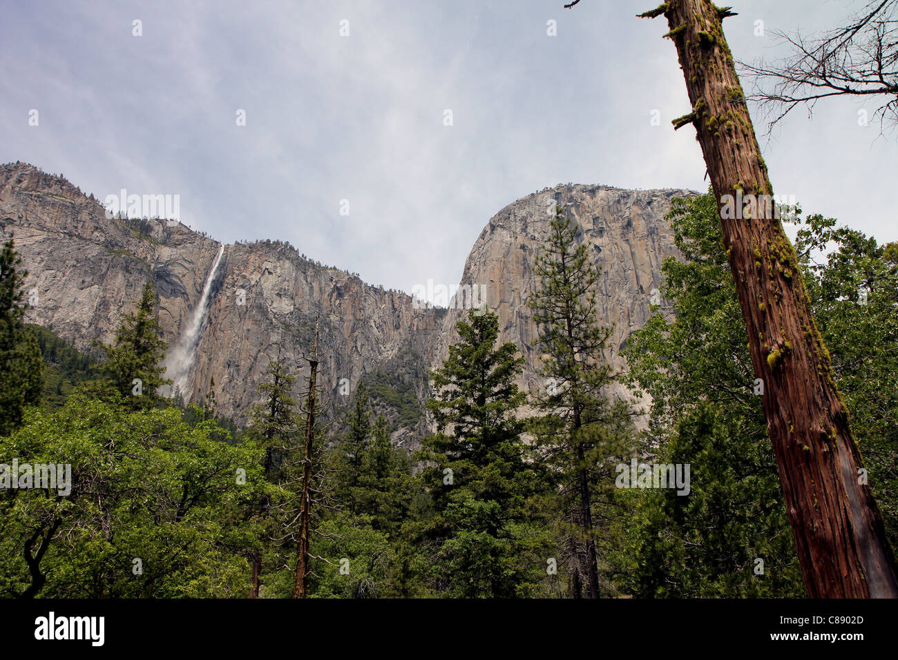 Chutes de ruban, grand angle, Yosemite National Park, la Sierra Nevada, en Californie Banque D'Images