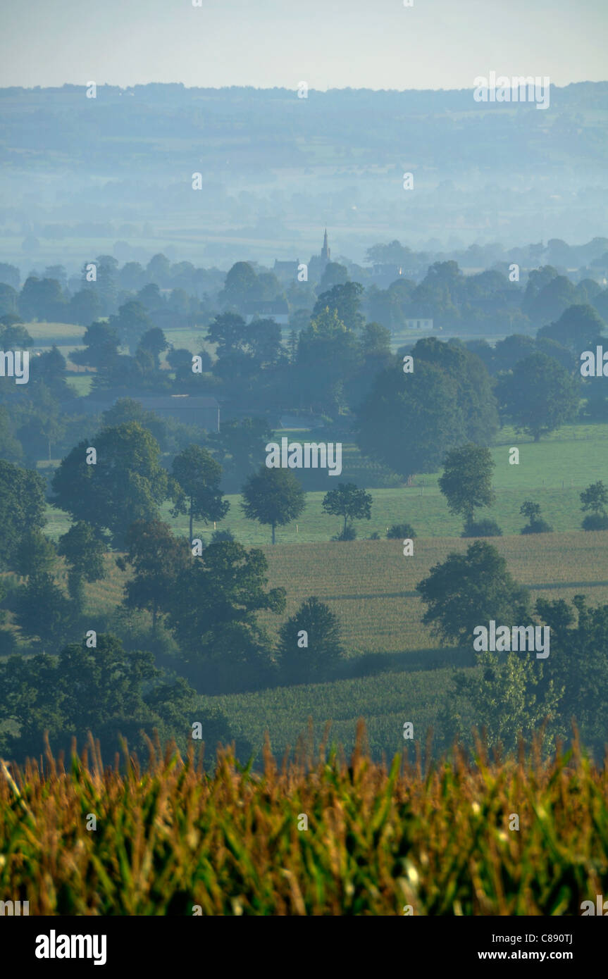Paysage de la campagne normande dans la brume, en été (près de St Hilaire du Harcouet, Manche). Banque D'Images