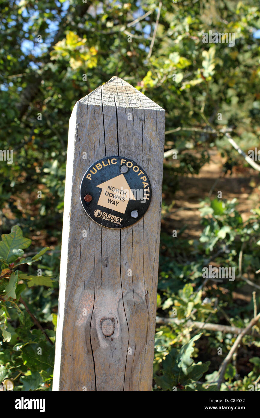Sentier public dans les North Downs Way sign at St Martha's Hill. Guildford Surrey England UK. Banque D'Images
