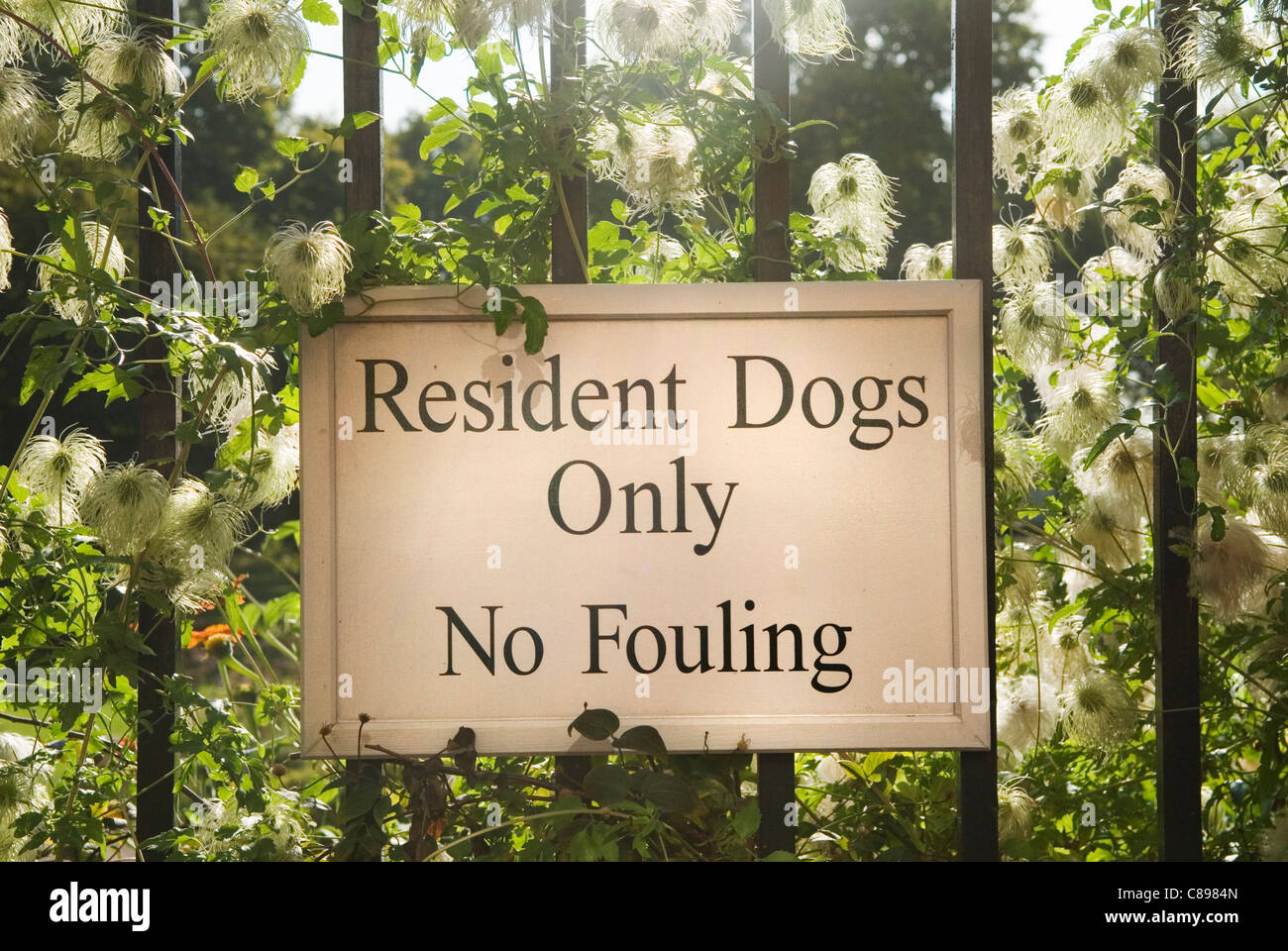 Chiens parcs de Londres l'encrassement. Inscrivez-vous sur les portes de l'Inner Temple Gardens Inns of Court de Londres. Les chiens des résidents seulement pas d'encrassement. Banque D'Images